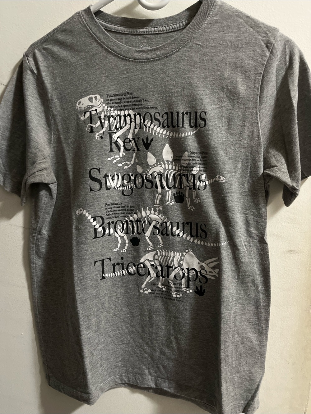 Gray dinosaur graphic tee with white dinosaur skeletons and names-kid’s size XXL
